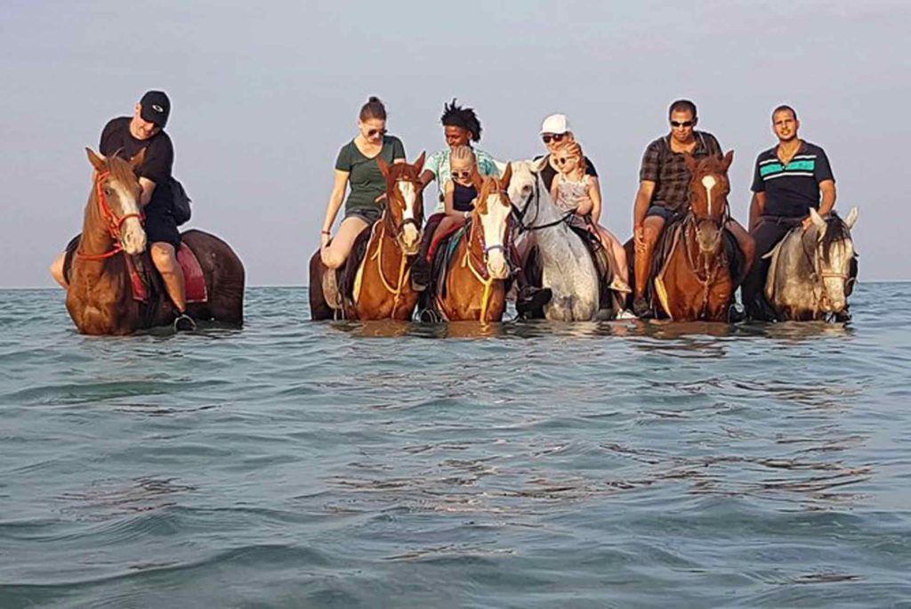 horses-hurghada